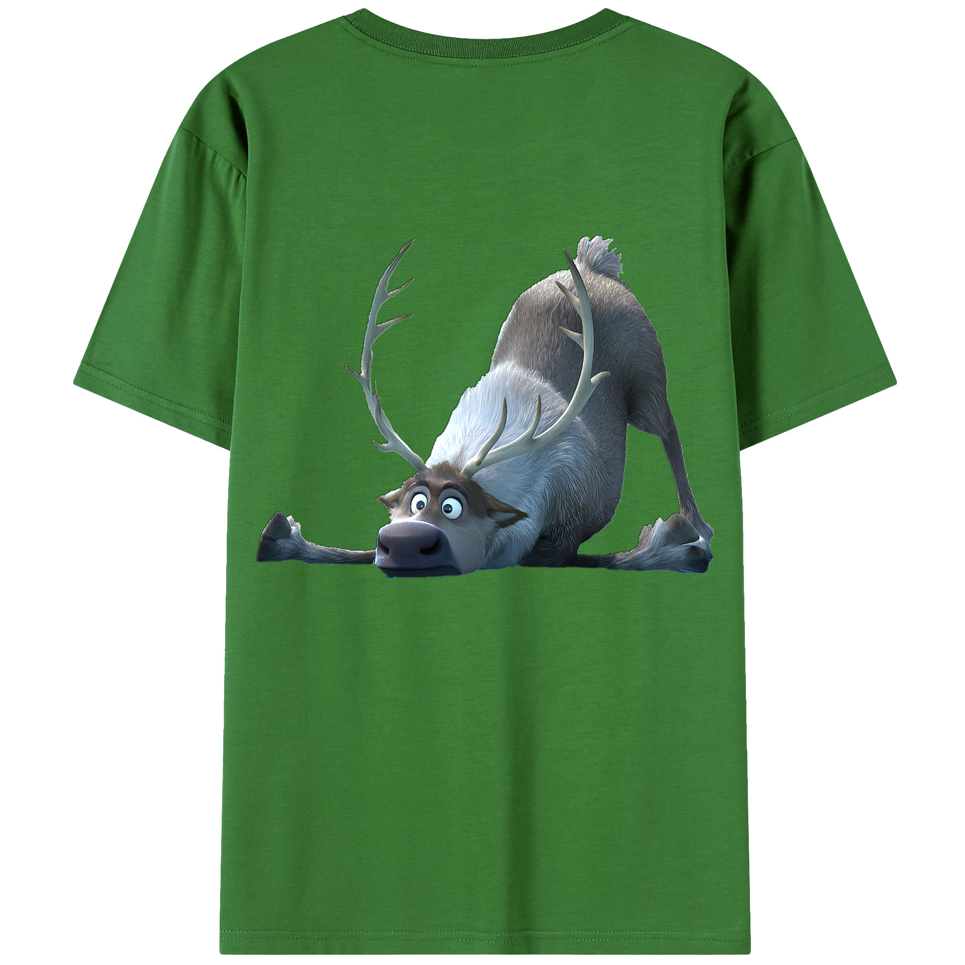 （画像用） アナと雪の女王 アンナ エルサ Frozen Anna Elsa レディース半袖Tシャツ(バックプリント)